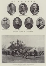 The Transvaal War